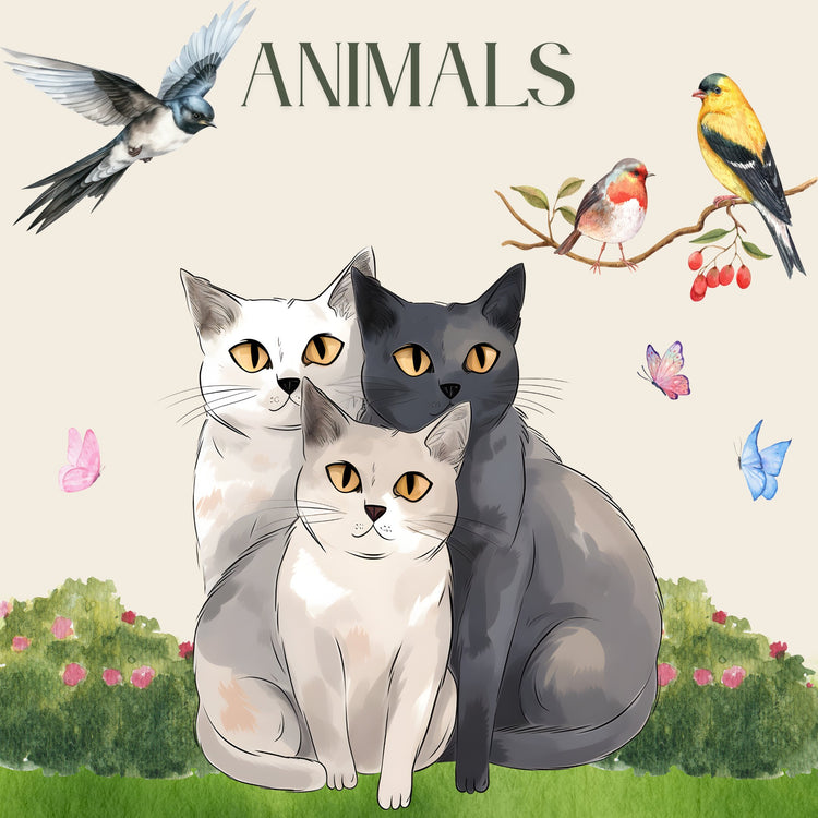 Animal